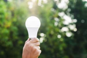 hand holding led bulb on green nature background and sunshine. concept eco
